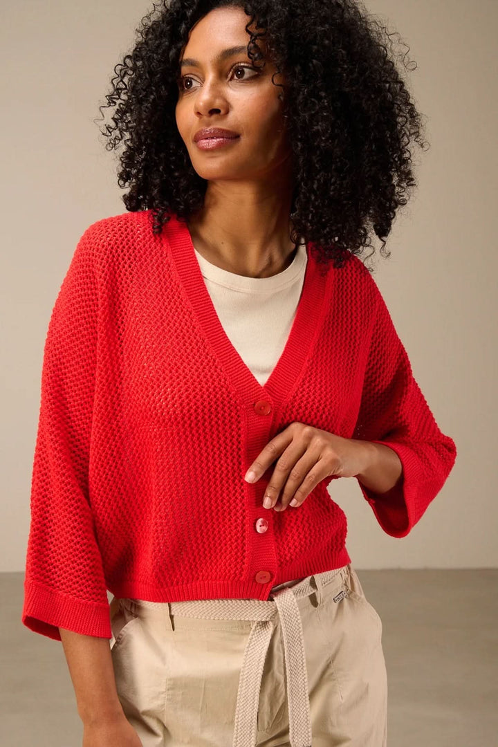 Button-down jacket