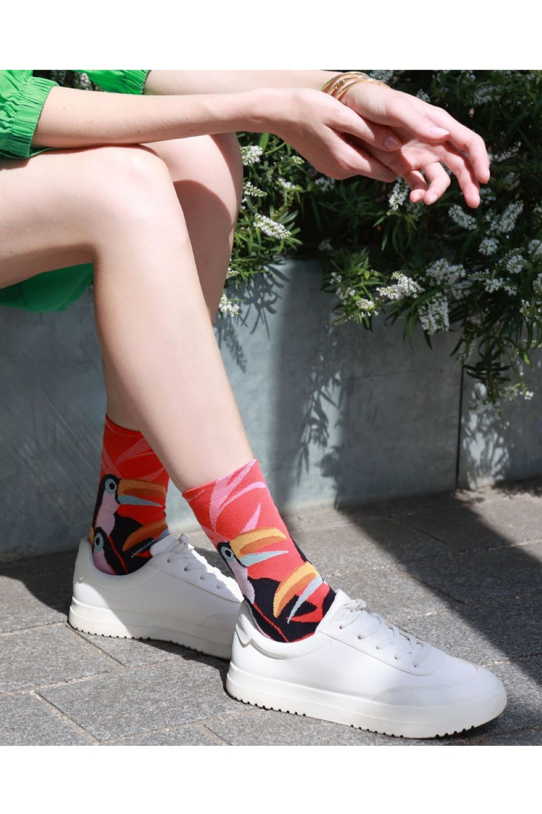 Toucans Socks